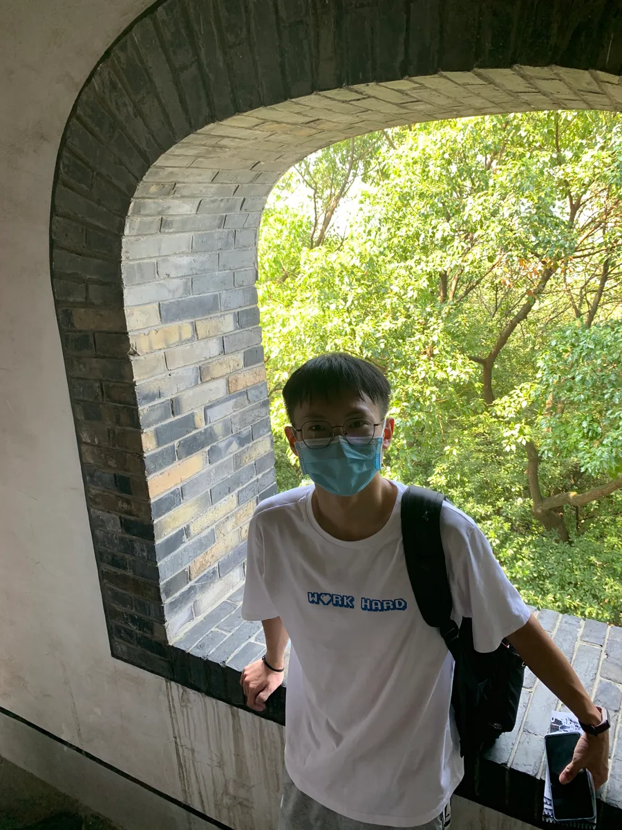 绿树与门洞中的人